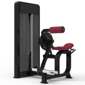 Pegasus 1S - 2 in 1 Ab Crunch & Back Extension Machine