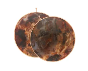 Petrified Wood Disc