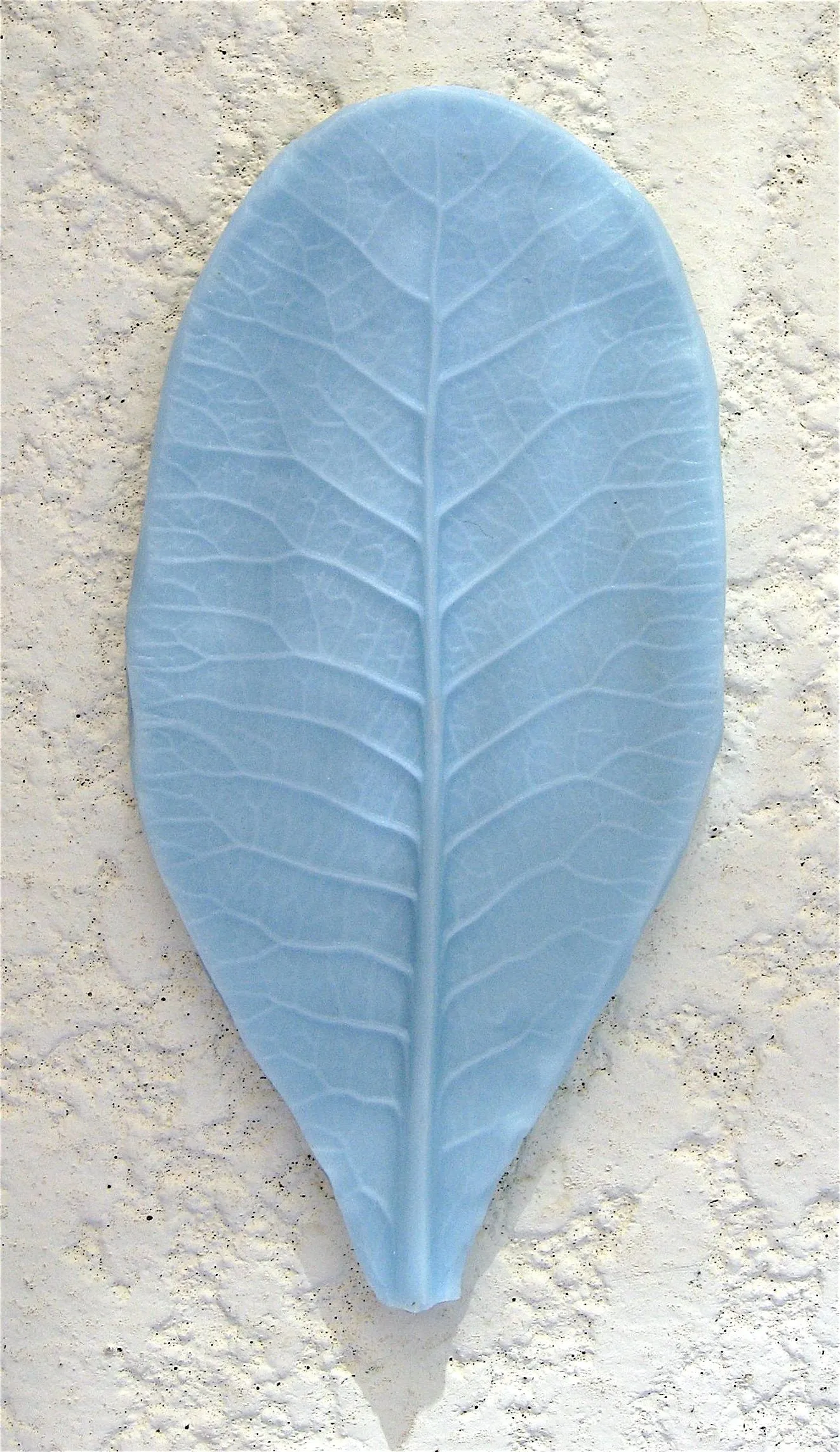 Primrose Leaf